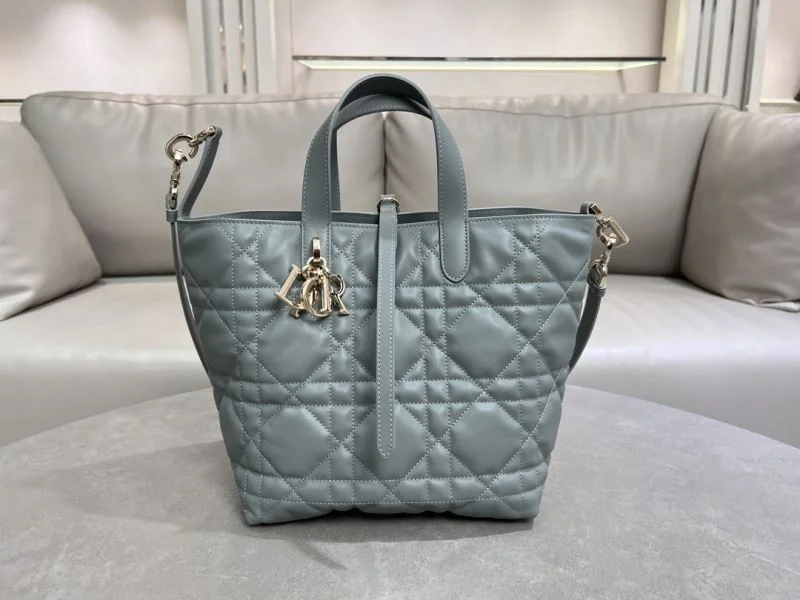 Comfortable Christian Dior Shopping Bags 47062
