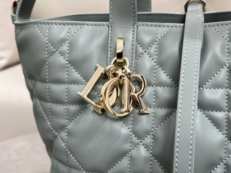 Comfortable Christian Dior Shopping Bags 47062