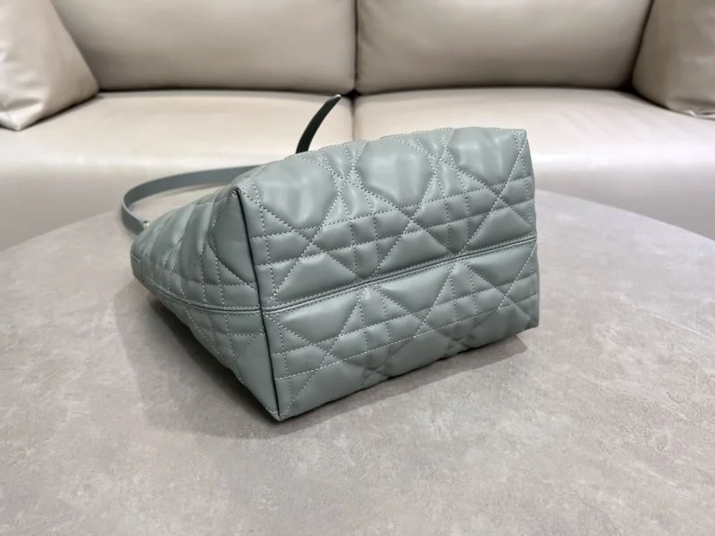 Comfortable Christian Dior Shopping Bags 47062