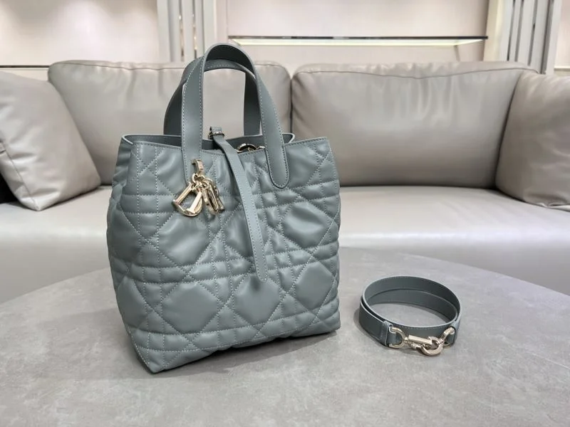 Comfortable Christian Dior Shopping Bags 47062