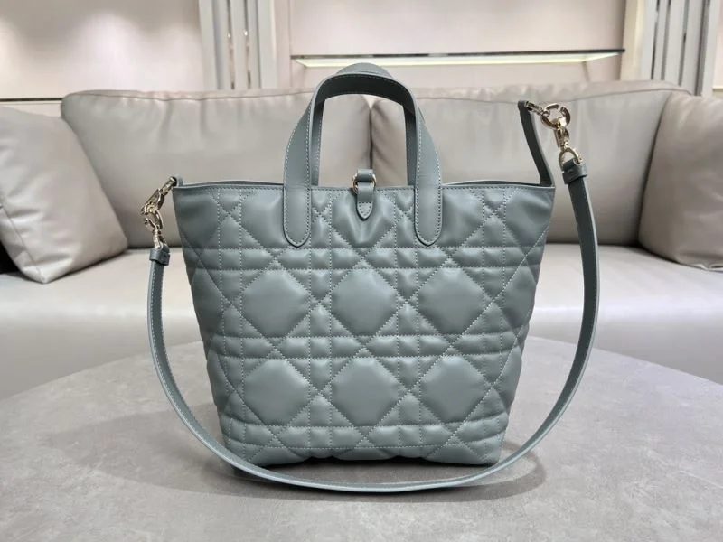 Comfortable Christian Dior Shopping Bags 47062