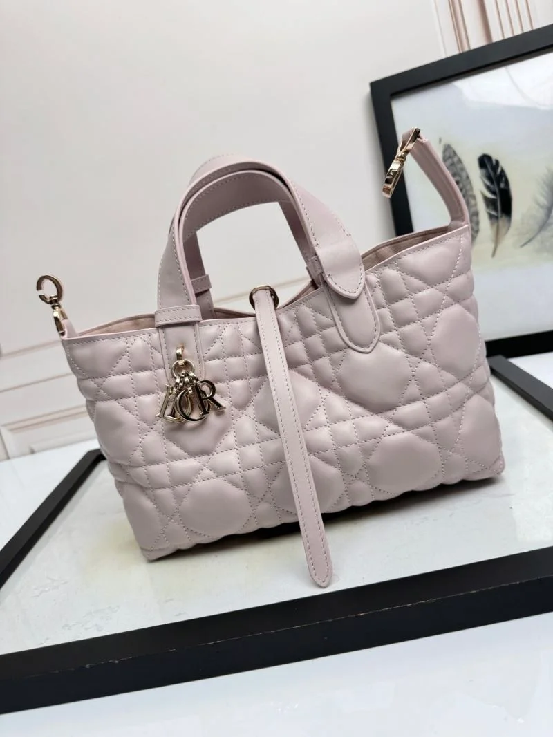 Trendsetting Christian Dior Shopping Bags 47057