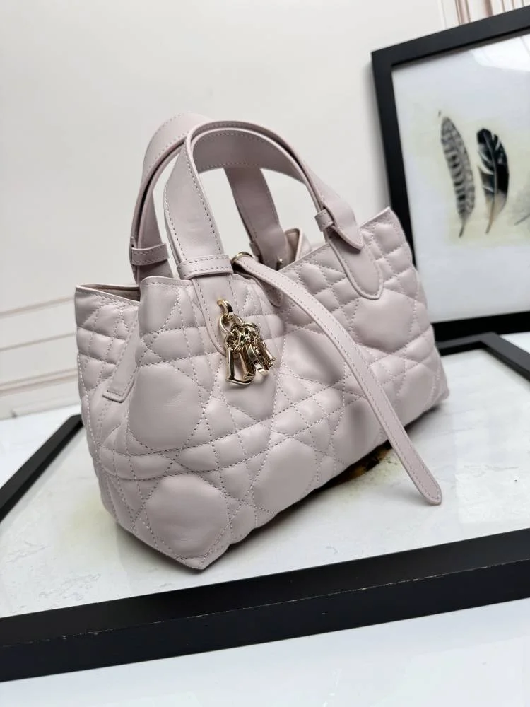 Trendsetting Christian Dior Shopping Bags 47057