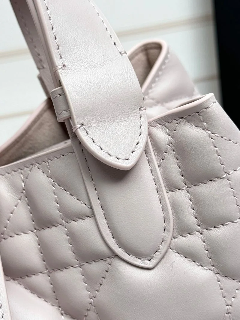 Trendsetting Christian Dior Shopping Bags 47057