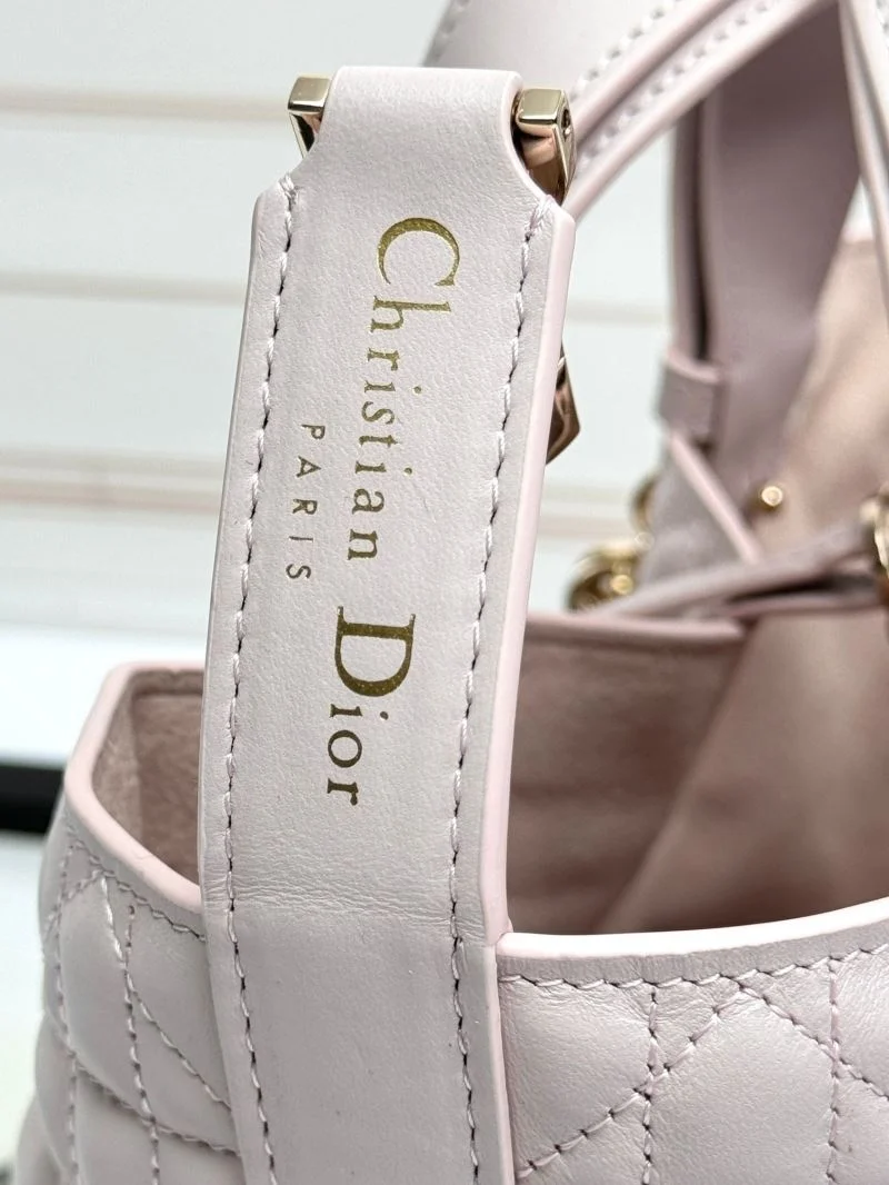 Trendsetting Christian Dior Shopping Bags 47057