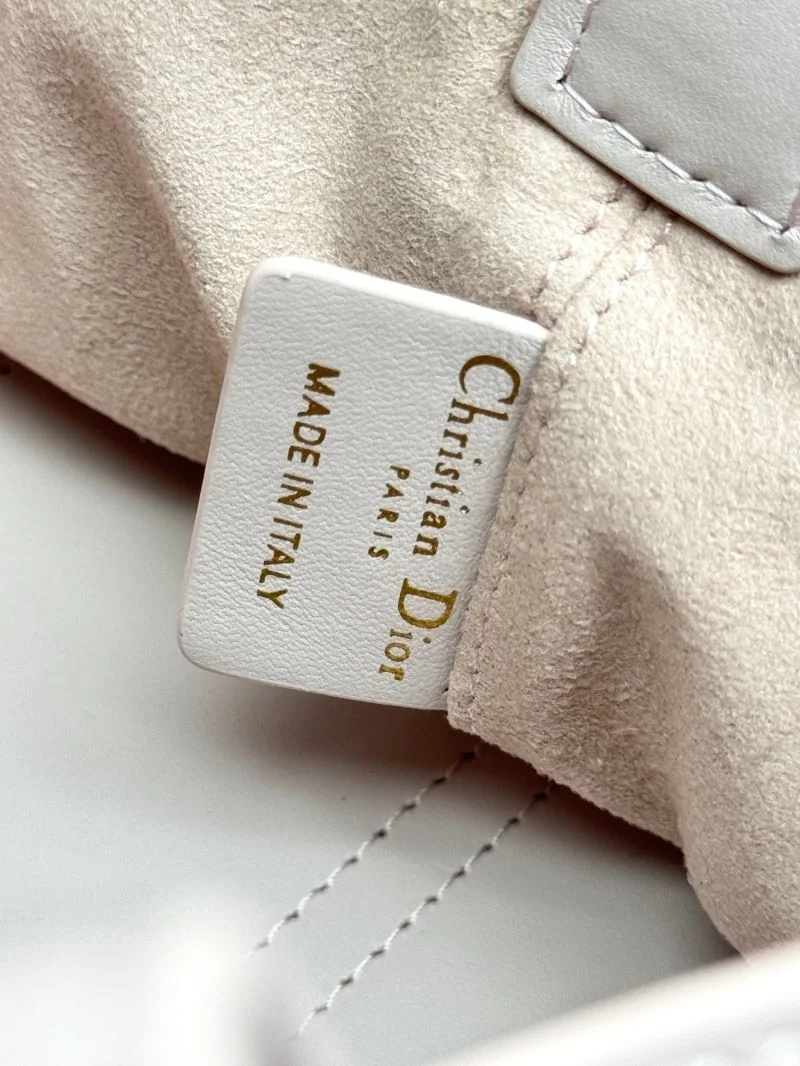 Trendsetting Christian Dior Shopping Bags 47057
