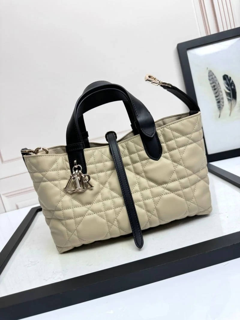 QuickDry Christian Dior Shopping Bags 47091
