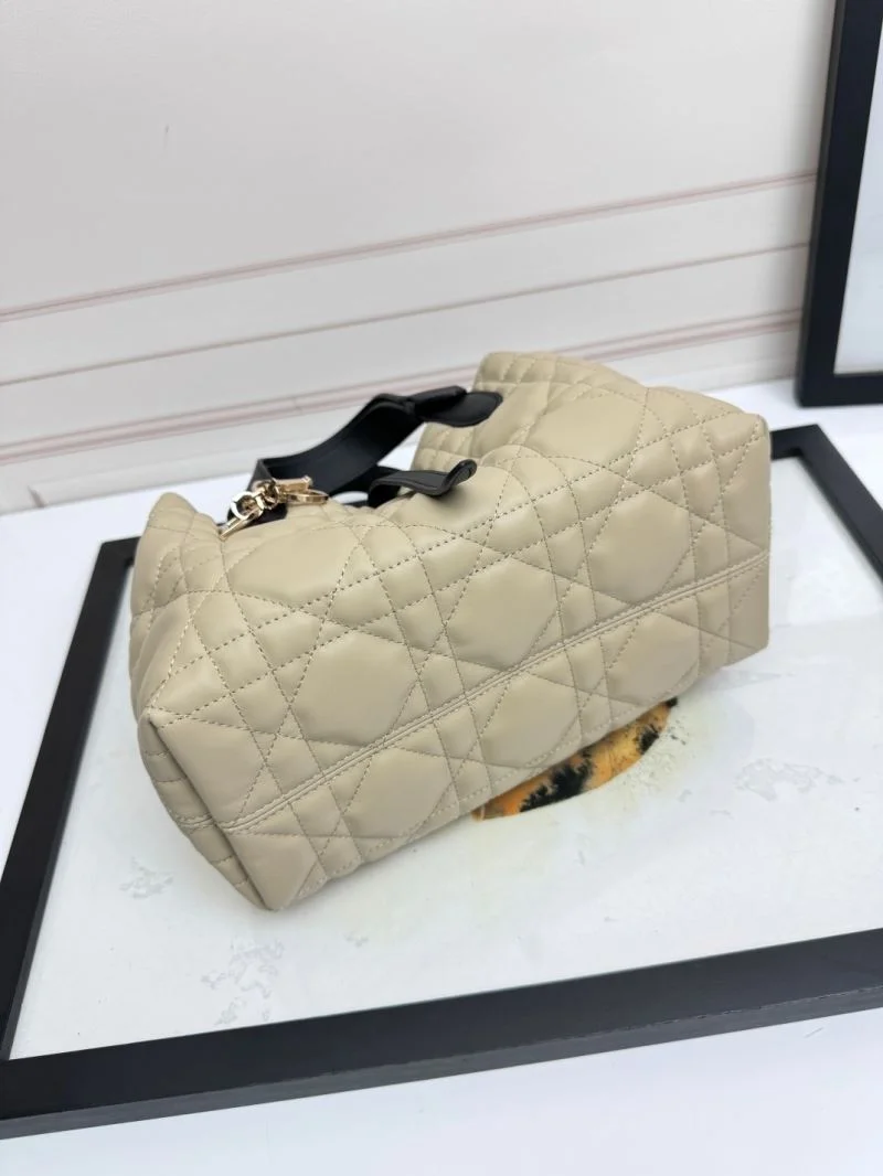 QuickDry Christian Dior Shopping Bags 47091