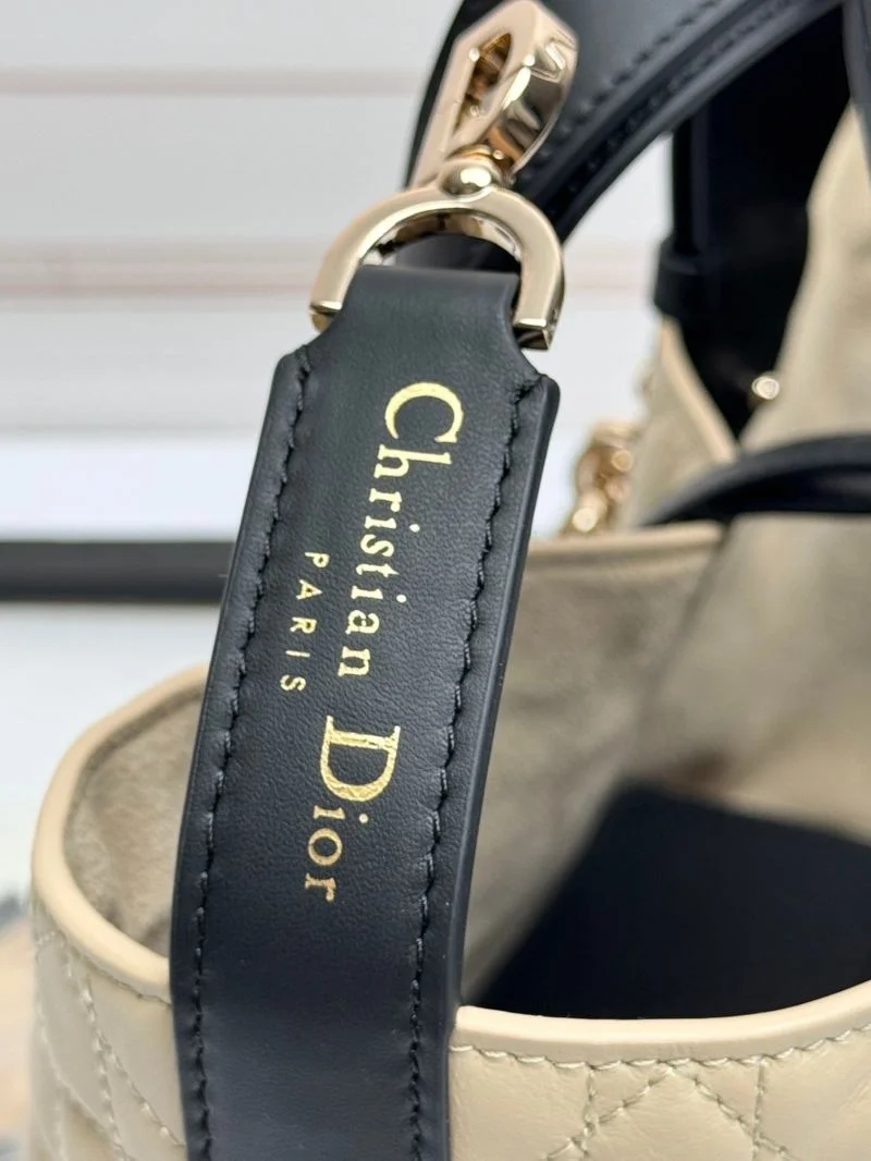 QuickDry Christian Dior Shopping Bags 47091