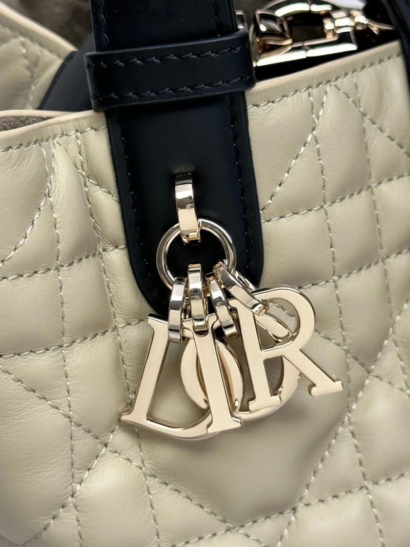 QuickDry Christian Dior Shopping Bags 47091
