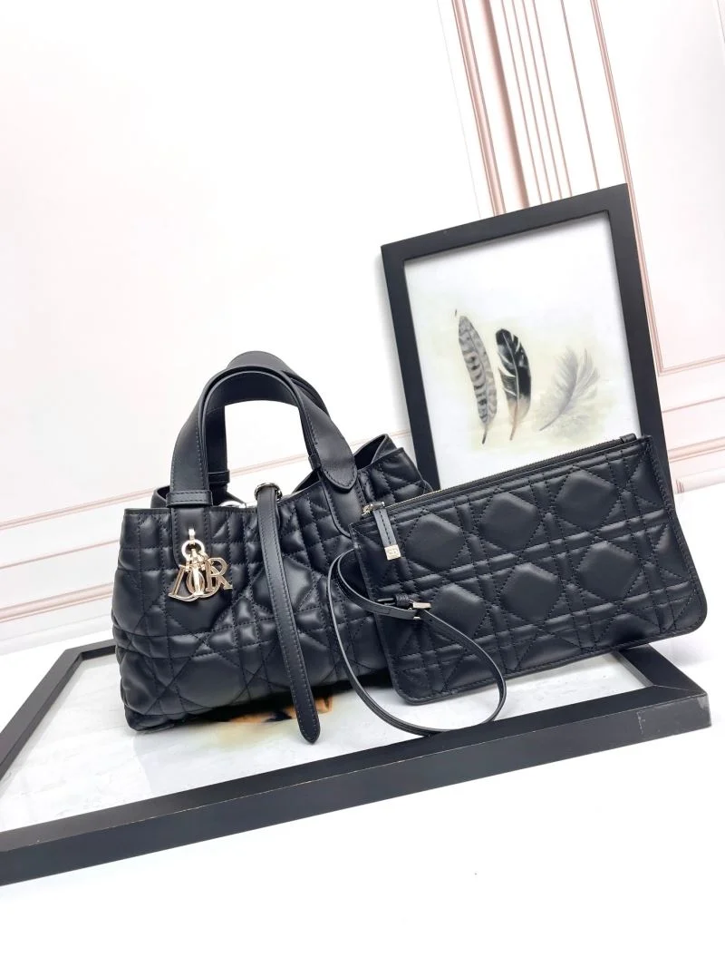 WellDesigned Christian Dior Shopping Bags 47052