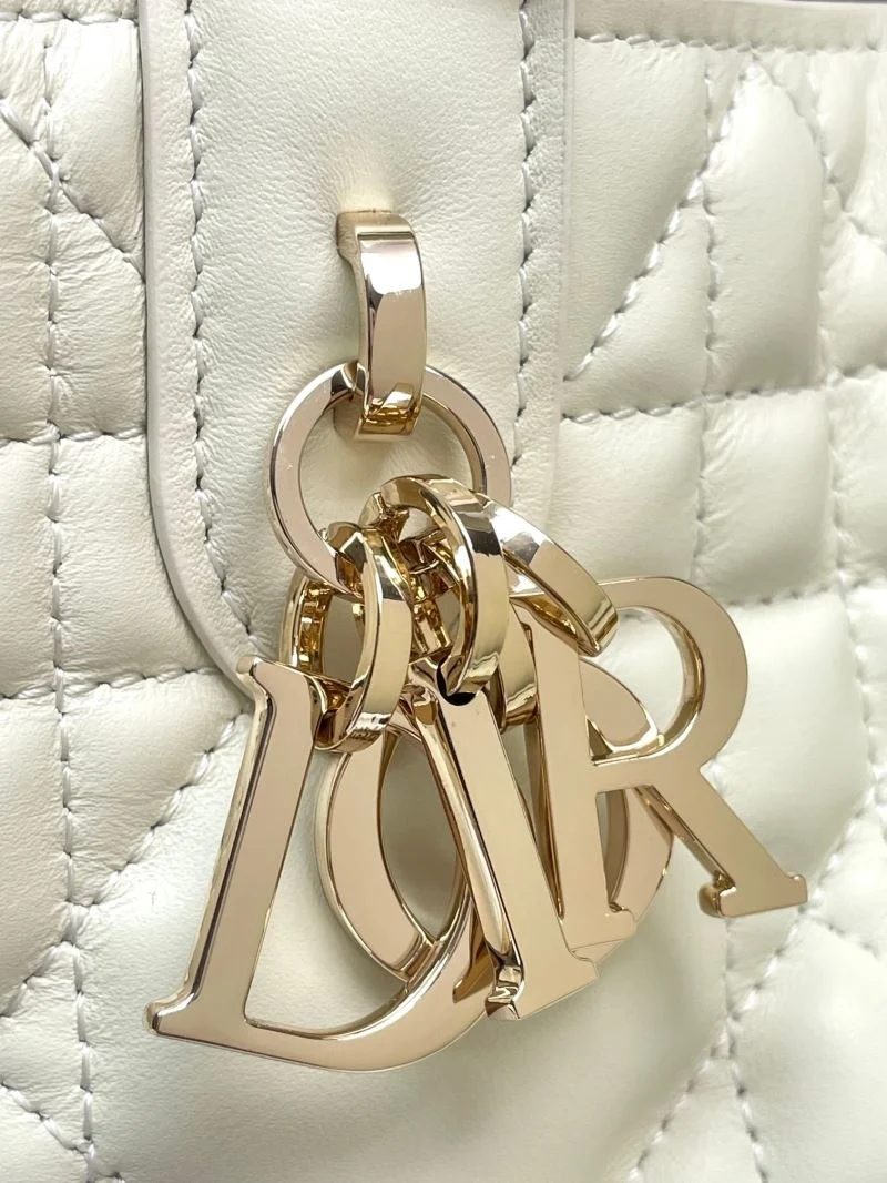 Versatile Christian Dior Shopping Bags 47109