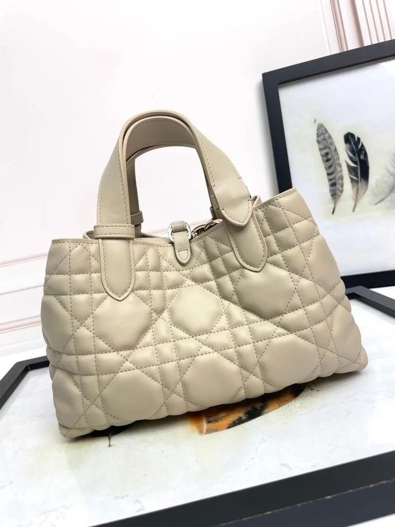 GoodFit Christian Dior Shopping Bags 47048