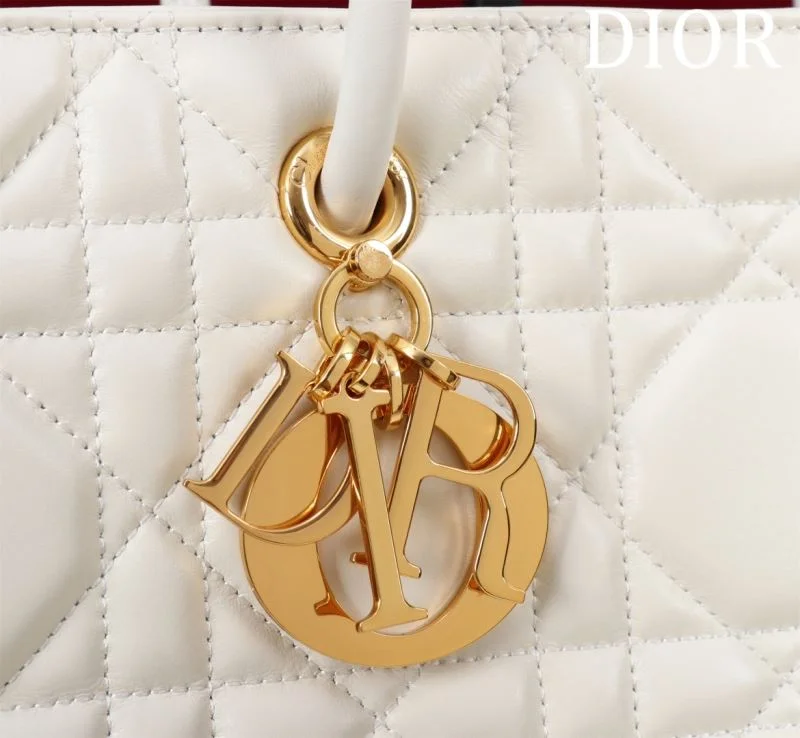 Comfortable Christian Dior Shopping Bags 47034