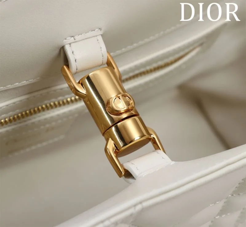 Comfortable Christian Dior Shopping Bags 47034