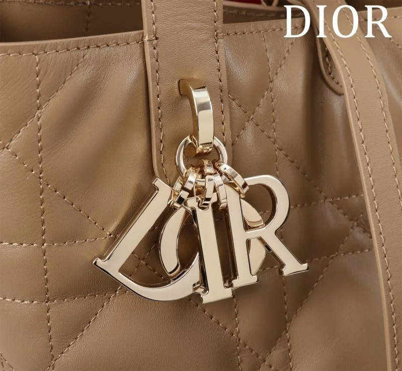 FastDry Christian Dior Shopping Bags 47114