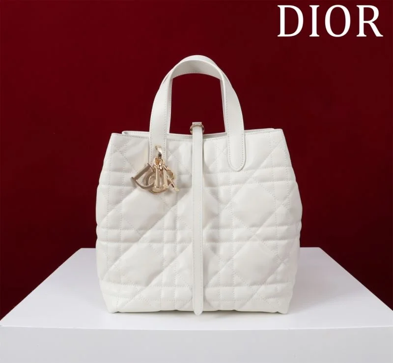 SmoothTexture Christian Dior Shopping Bags 47023
