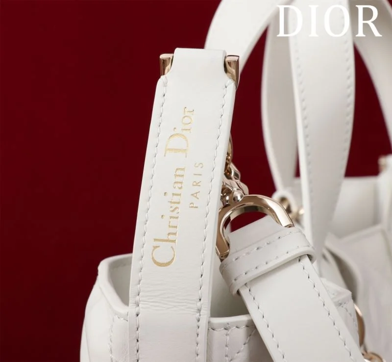 SmoothTexture Christian Dior Shopping Bags 47023