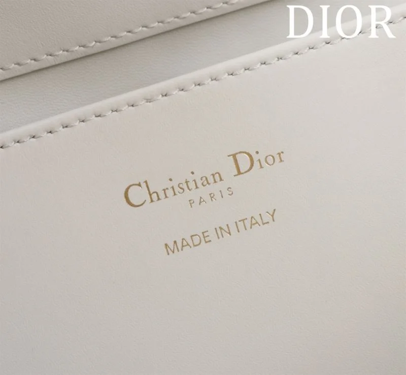 SmoothTexture Christian Dior Shopping Bags 47023