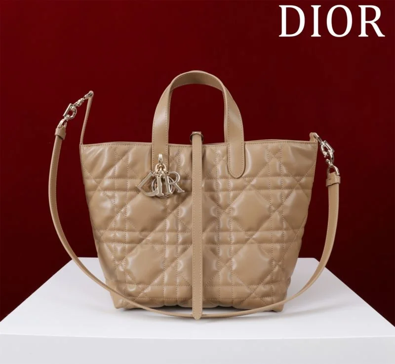 OdorResistant Christian Dior Shopping Bags 47051