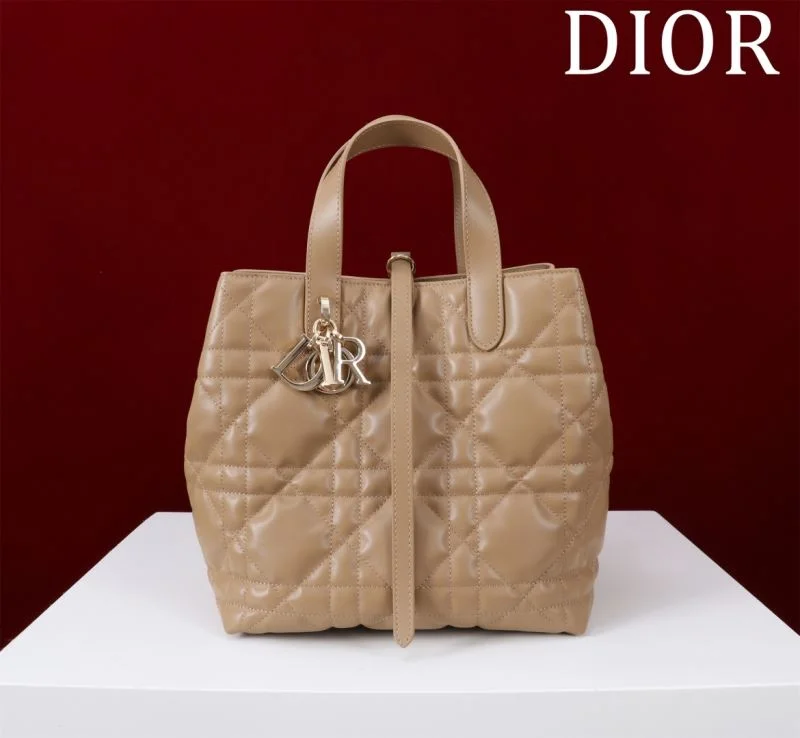 OdorResistant Christian Dior Shopping Bags 47051