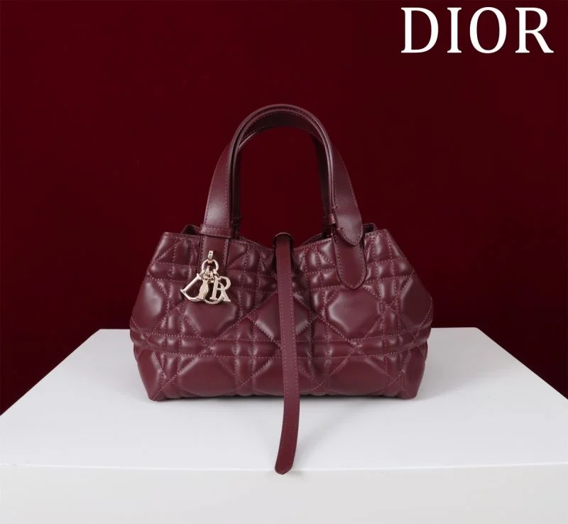 Christian Dior Shopping Bags Trendsetting 47011