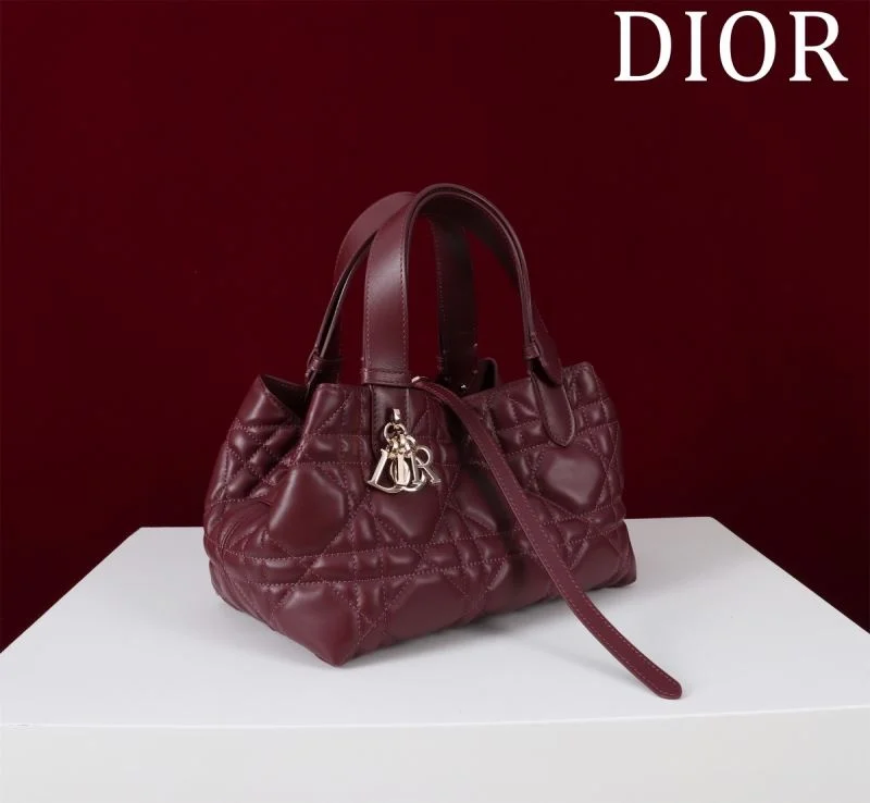 Christian Dior Shopping Bags Trendsetting 47011