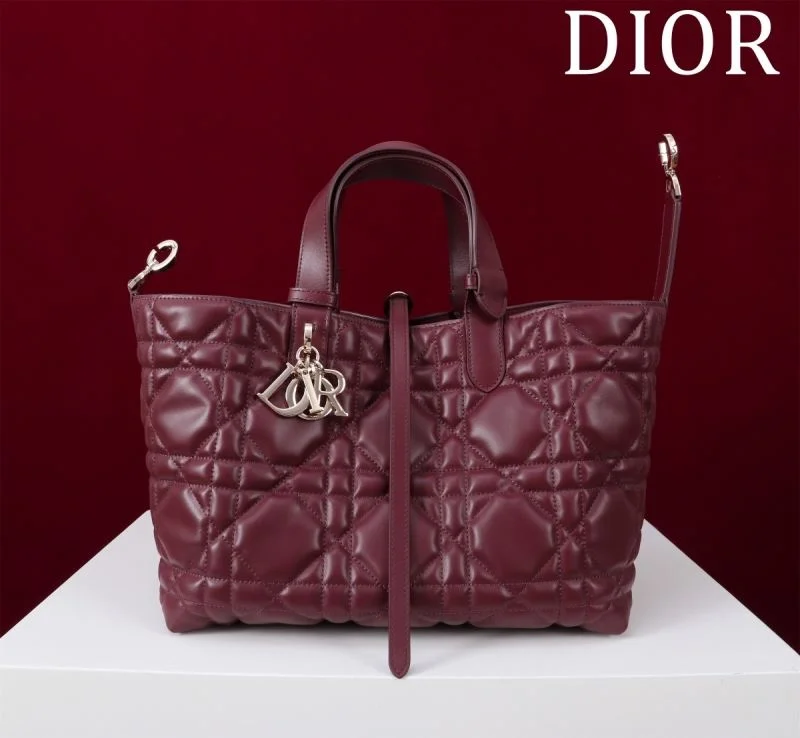 Colorful Christian Dior Shopping Bags 47006