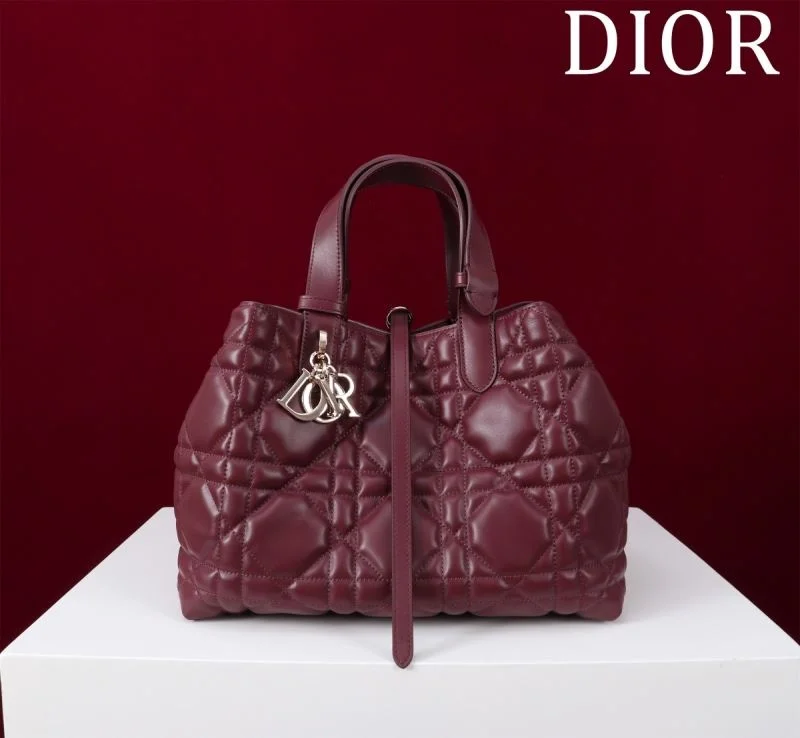 Colorful Christian Dior Shopping Bags 47006