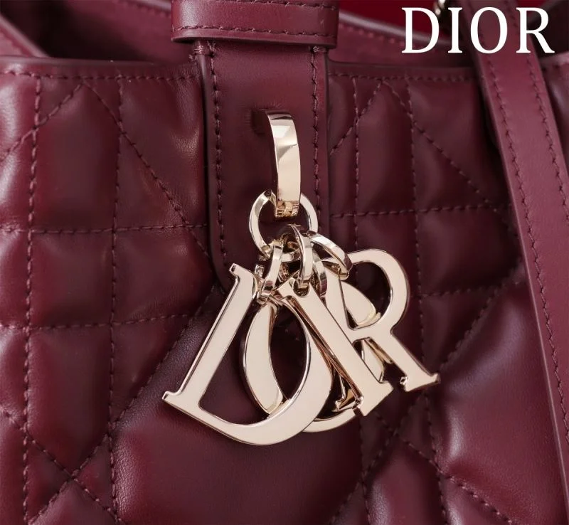 Colorful Christian Dior Shopping Bags 47006