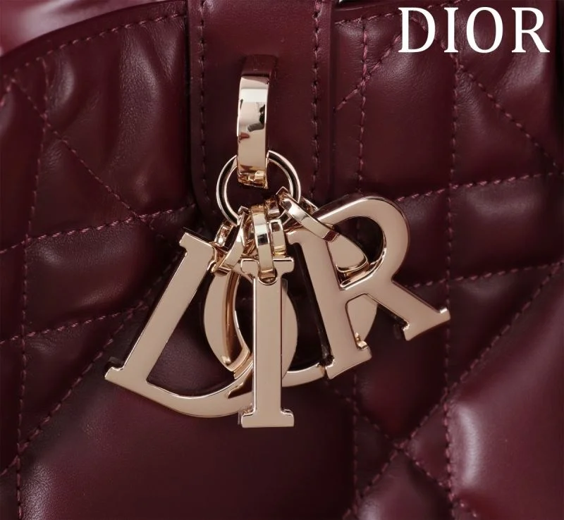 SmoothTexture Christian Dior Shopping Bags 47019