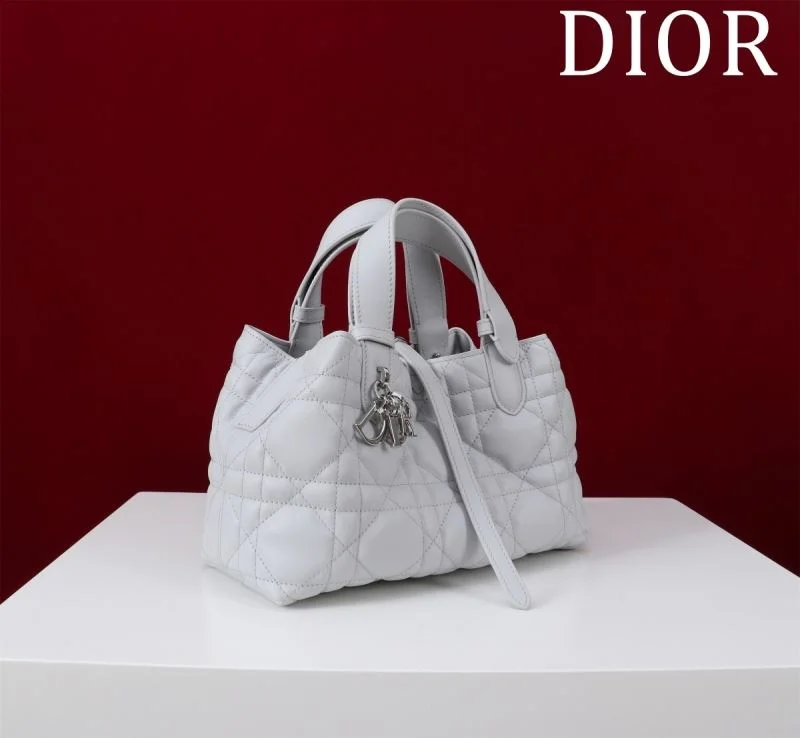 Christian Dior Shopping Bags Popular 47018