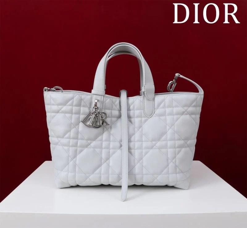 Premium Christian Dior Shopping Bags 47005