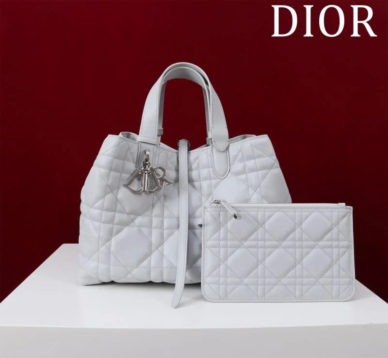 Premium Christian Dior Shopping Bags 47005