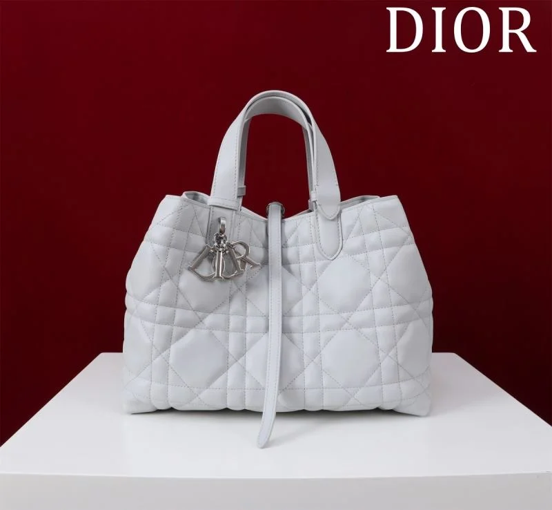 Premium Christian Dior Shopping Bags 47005