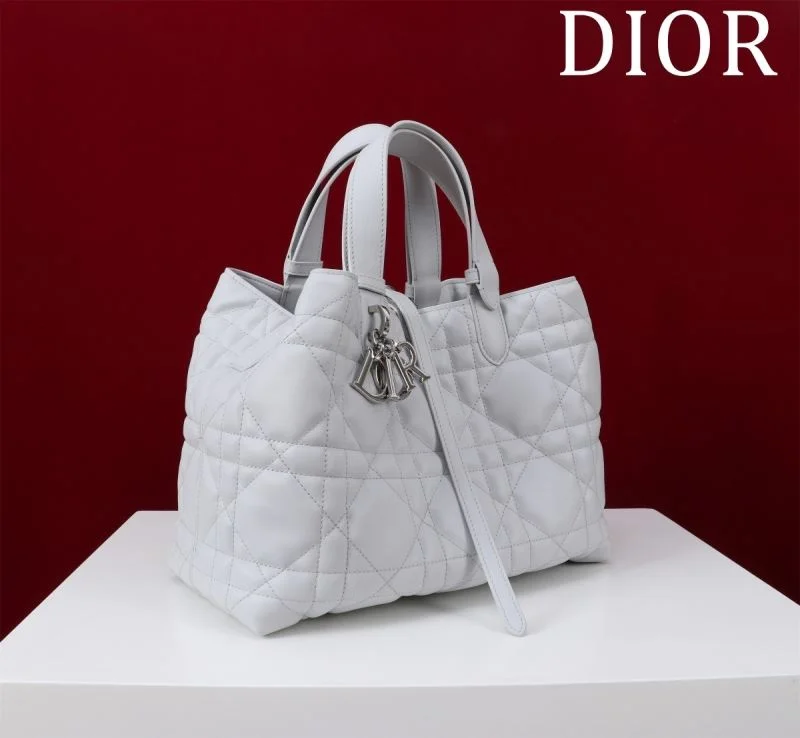 Premium Christian Dior Shopping Bags 47005