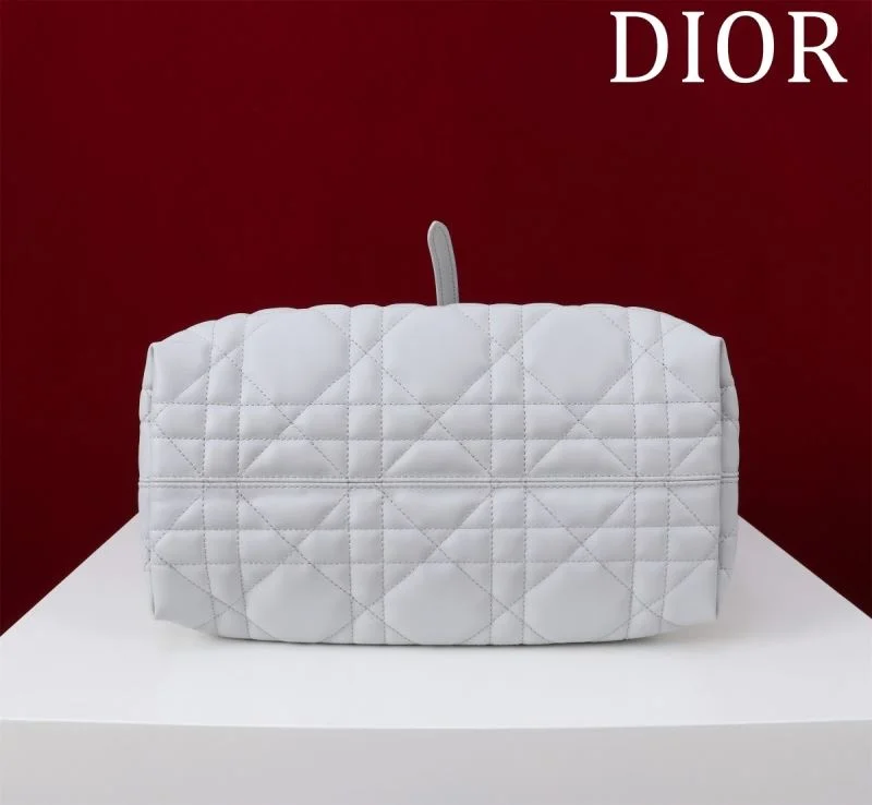 Premium Christian Dior Shopping Bags 47005