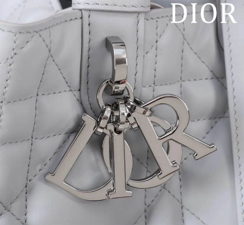 Premium Christian Dior Shopping Bags 47005