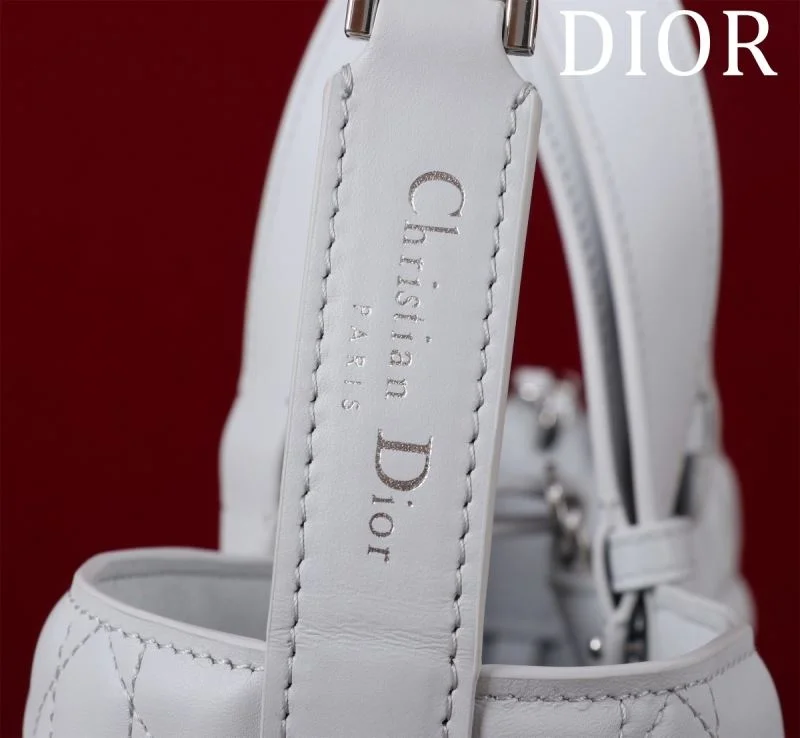 Premium Christian Dior Shopping Bags 47005