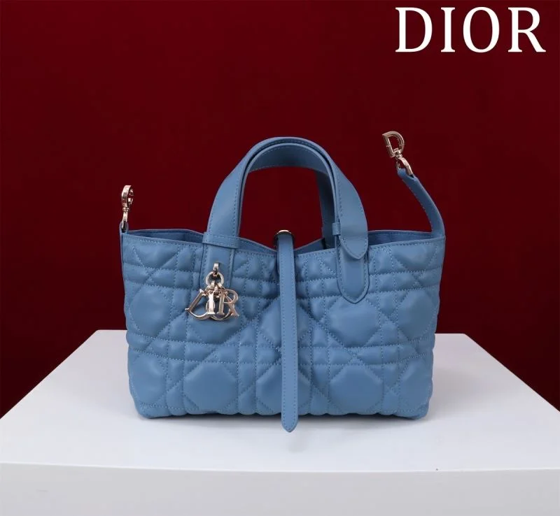 Christian Dior Shopping Bags Resilient 47013