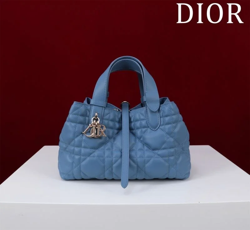 Christian Dior Shopping Bags Resilient 47013