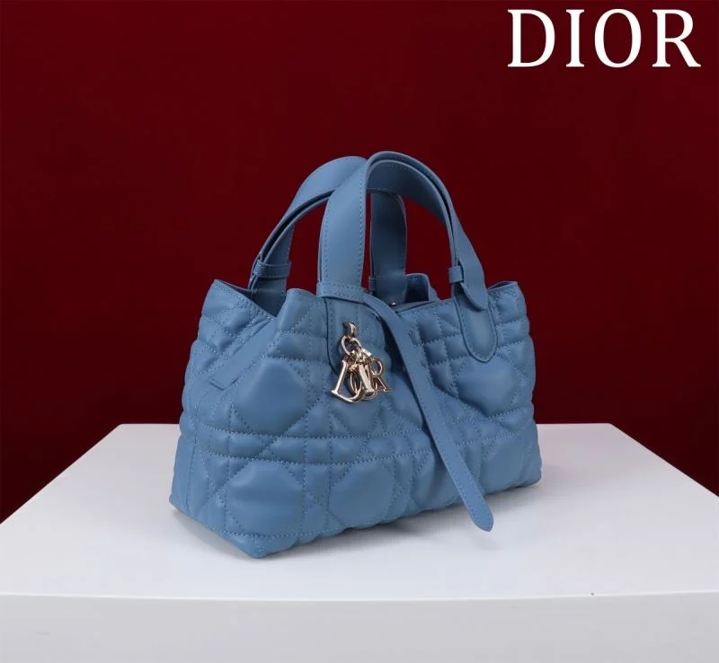 Christian Dior Shopping Bags Resilient 47013