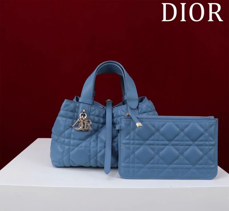 Christian Dior Shopping Bags Resilient 47013