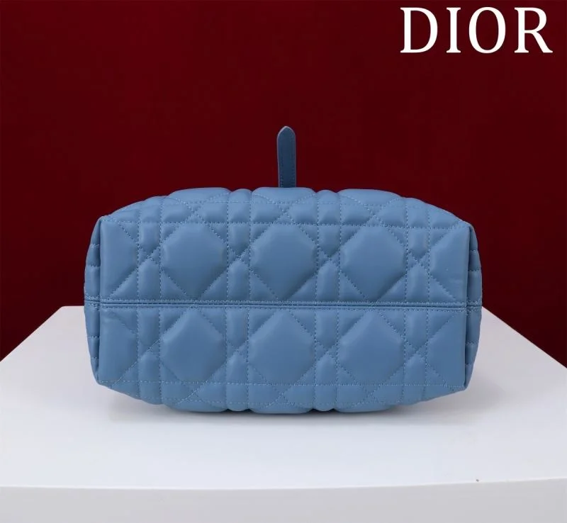 Christian Dior Shopping Bags Resilient 47013