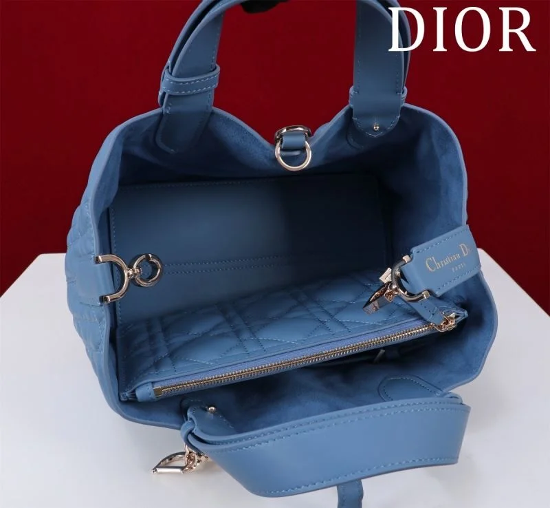 Christian Dior Shopping Bags Resilient 47013