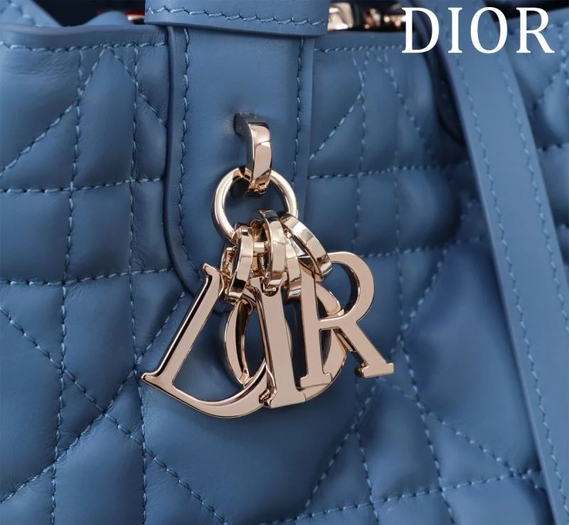 Christian Dior Shopping Bags Resilient 47013