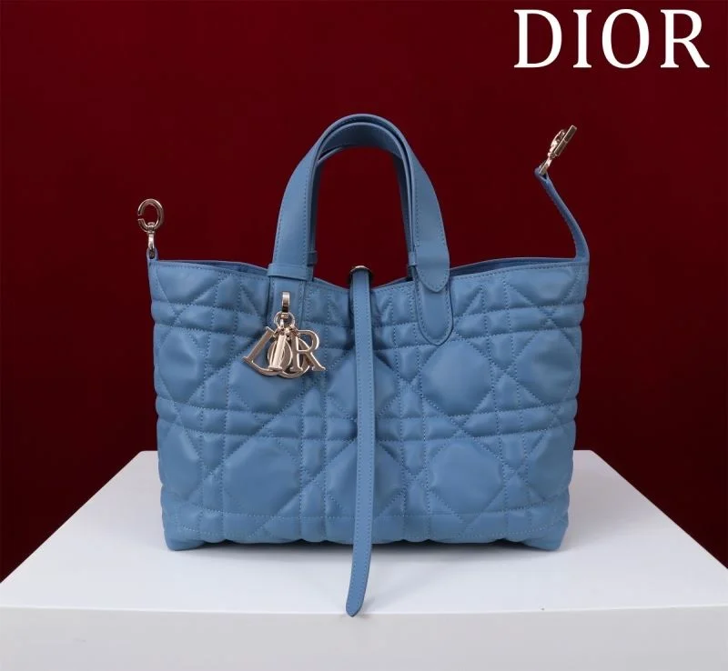 Trendy Christian Dior Shopping Bags 47015