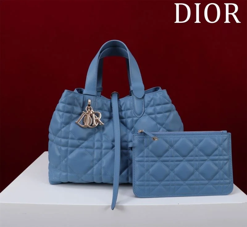 Trendy Christian Dior Shopping Bags 47015