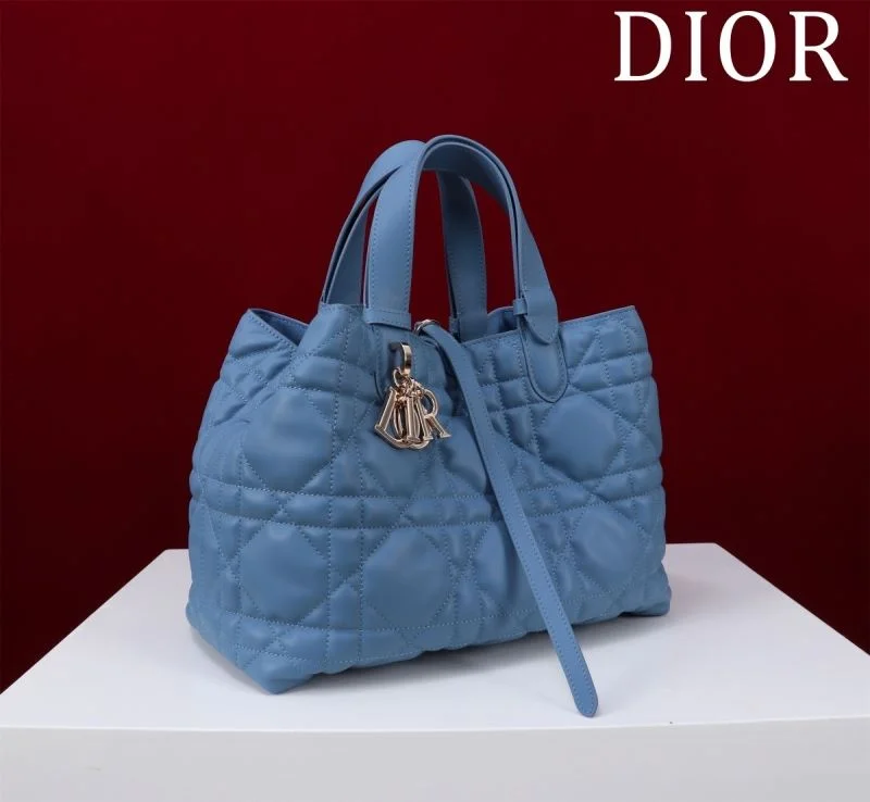 Trendy Christian Dior Shopping Bags 47015
