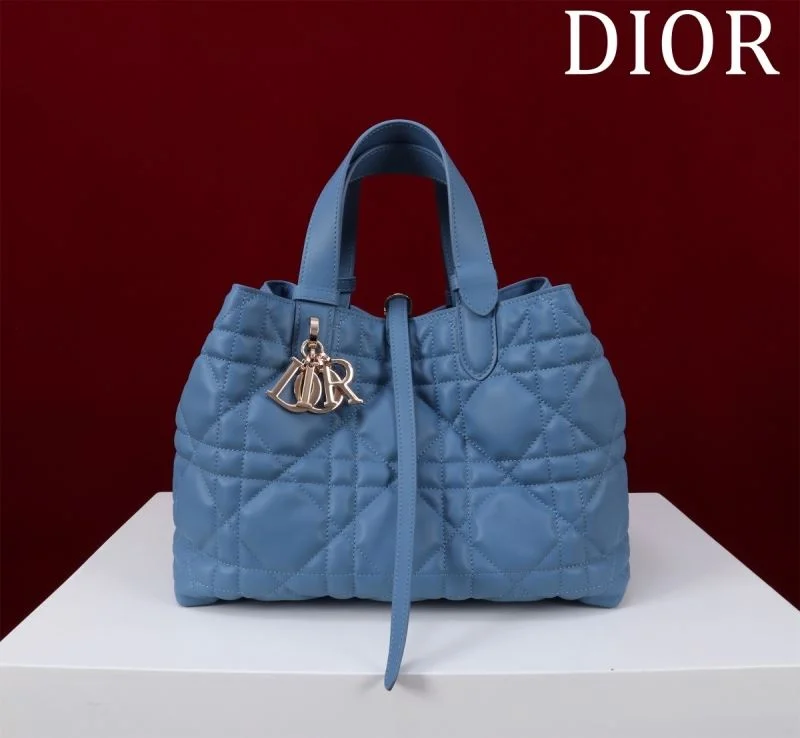 Trendy Christian Dior Shopping Bags 47015